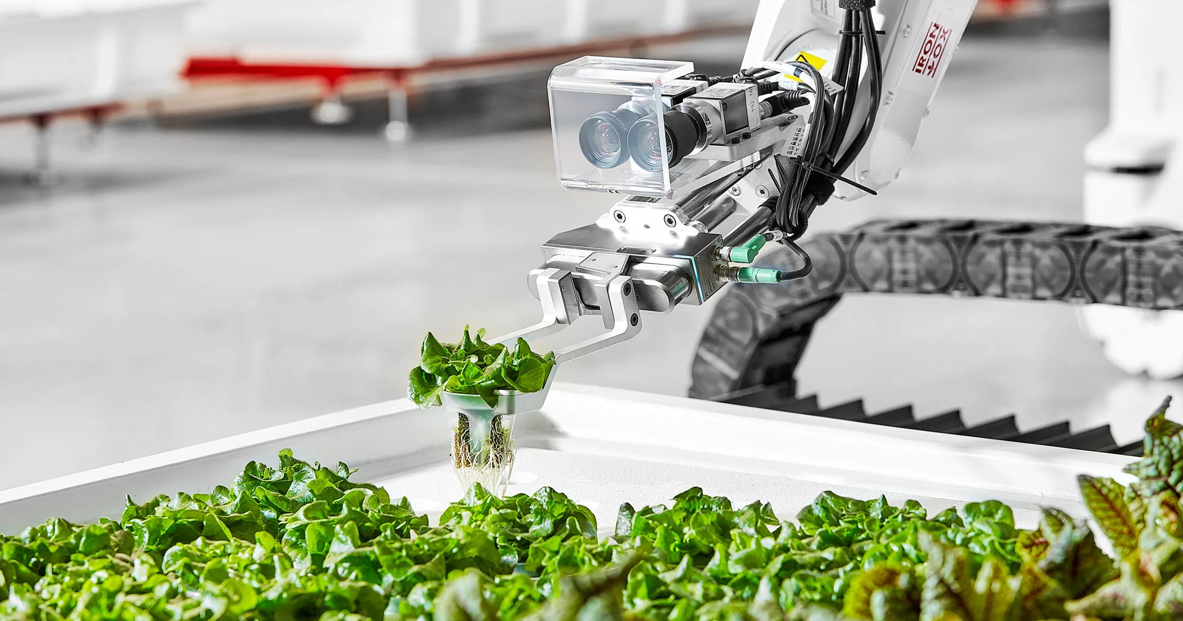 сельское хозяйство теплицы. инновации в сельском хозяйстве. стартап в сельском хозяйстве. экосистема цифровая фермер. сельское хозяйство будущего.