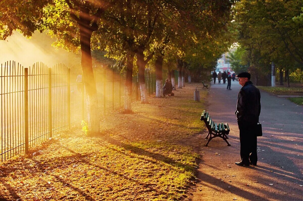 Потому что на улице солнце. Осень в городе. Осень город солнце. Солнечный день в городе. Осеннее утро в городе.