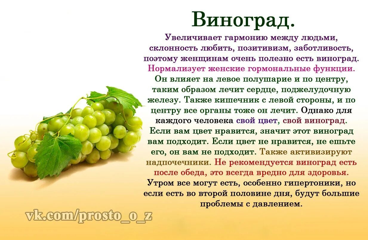 Какого витамина больше всего в винограде. Чем полезен виноград для организма. Чем полезен виноград для организма человека. Чем полезен виноград. Чем полезен виноград для человека.