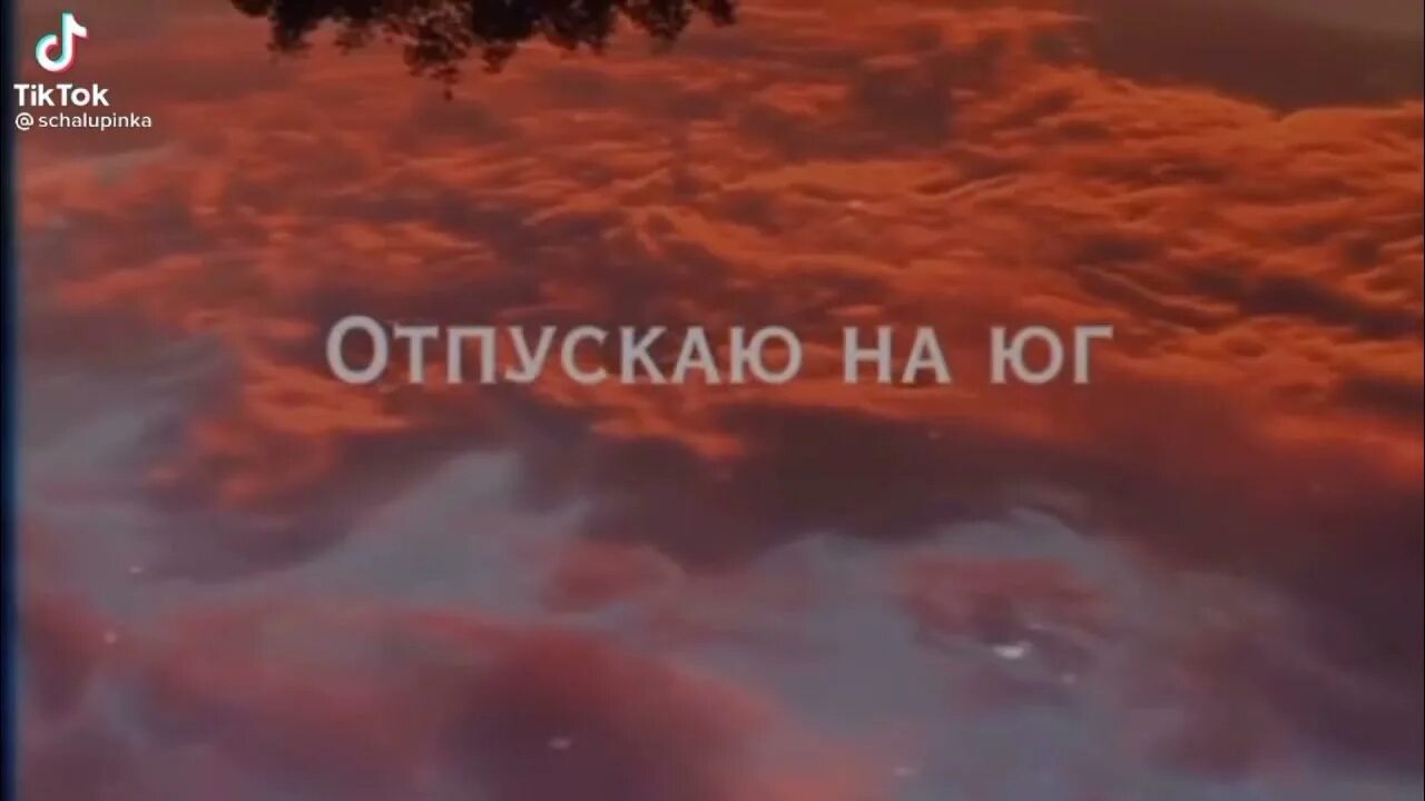 Отпускаю на юг текст. Я птицу счастья свою отпускаю на Юг исполнитель. Я птицу счастья отпускаю на Юг. Песня я птицу счастья отпускаю на Юг. Птица счастья вой отпускаю на Юг.