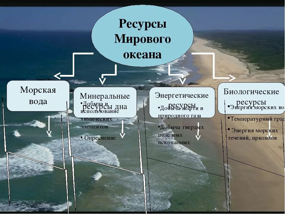 Что относится к водам океанов. Ресурсы мирового океана. Мировой океан ресурсы мирового океана. Ресурсы мирового океана это в географии. Ресурсы мирового океана запасы.