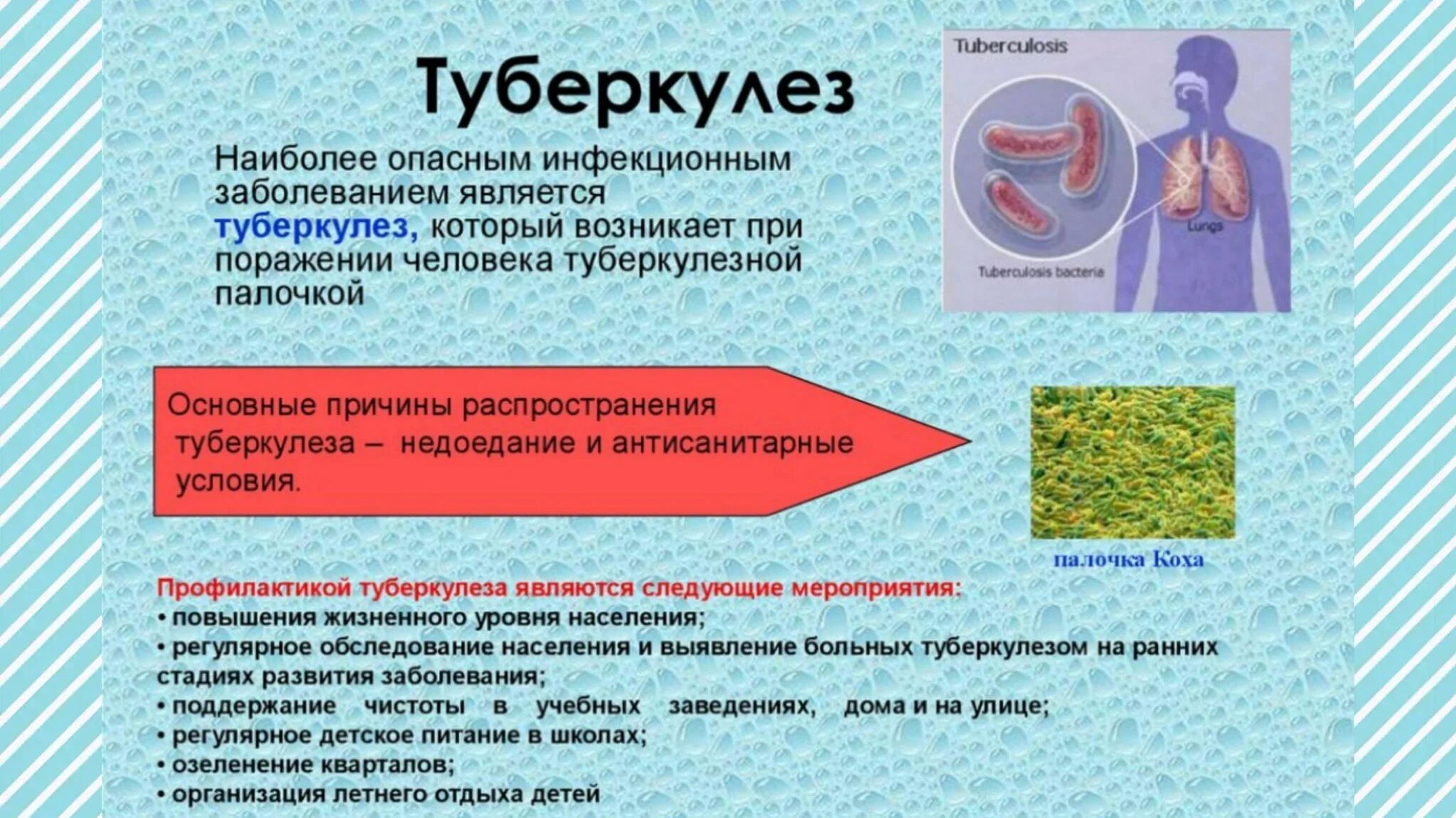 К опасным заболеваниям могут приводить. Туберкулез это инфекционное заболевание. Профилактика инфекционных заболеваний туберкулез. Туберкулез опасное заболевание.