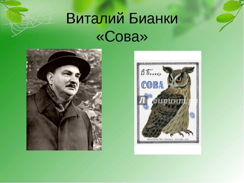 Герои произведений бианки. Произведение Сова Бианки. Рассказ Сова Бианки.