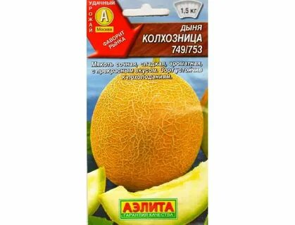 Дыня колхозница отзывы