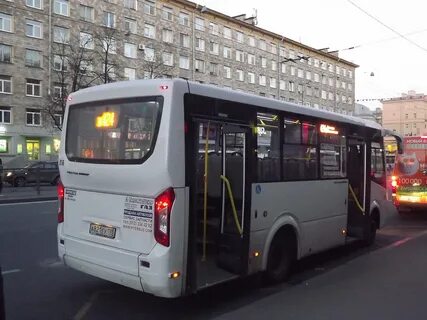 Автобус 81 спб
