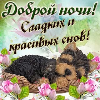 Пожелания доброй ночи красивые и оригинальные
