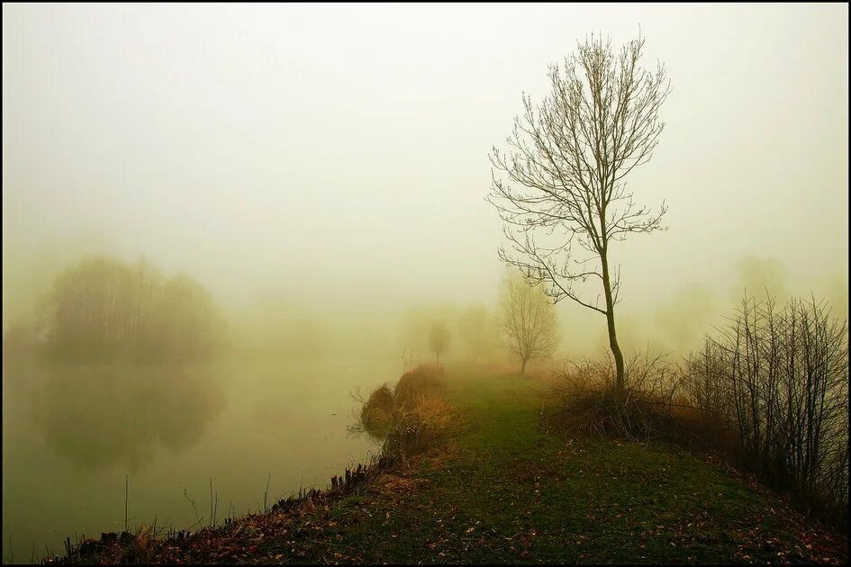 зыкина утро туманное. туман озеро трава. маски шоу утро туманное. утро туманное утро седое. зыкина утро туманное.