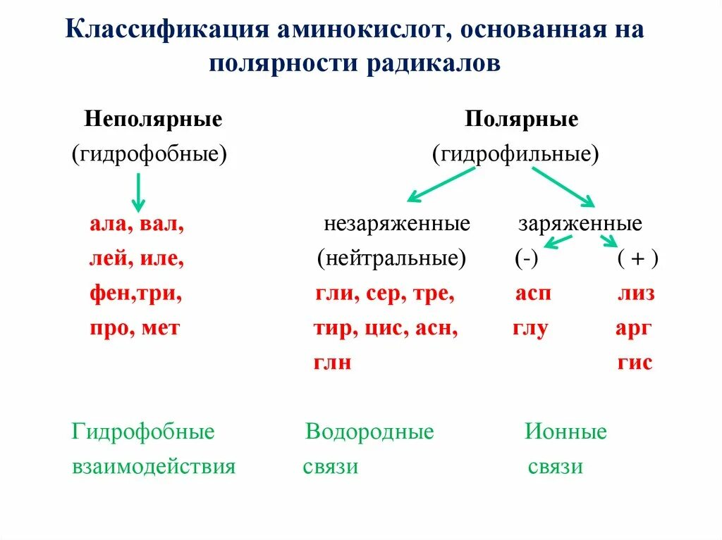 Классификация аминокислот Полярные и неполярные. Классификация аминокислот по полярности радикалов. Физико химическая классификация аминокислот. Электрохимическая классификация аминокислот.