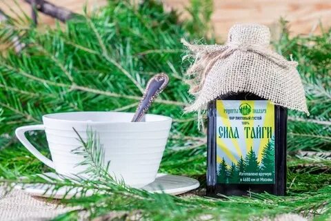 Сила тайги