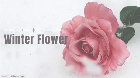 Feat flower