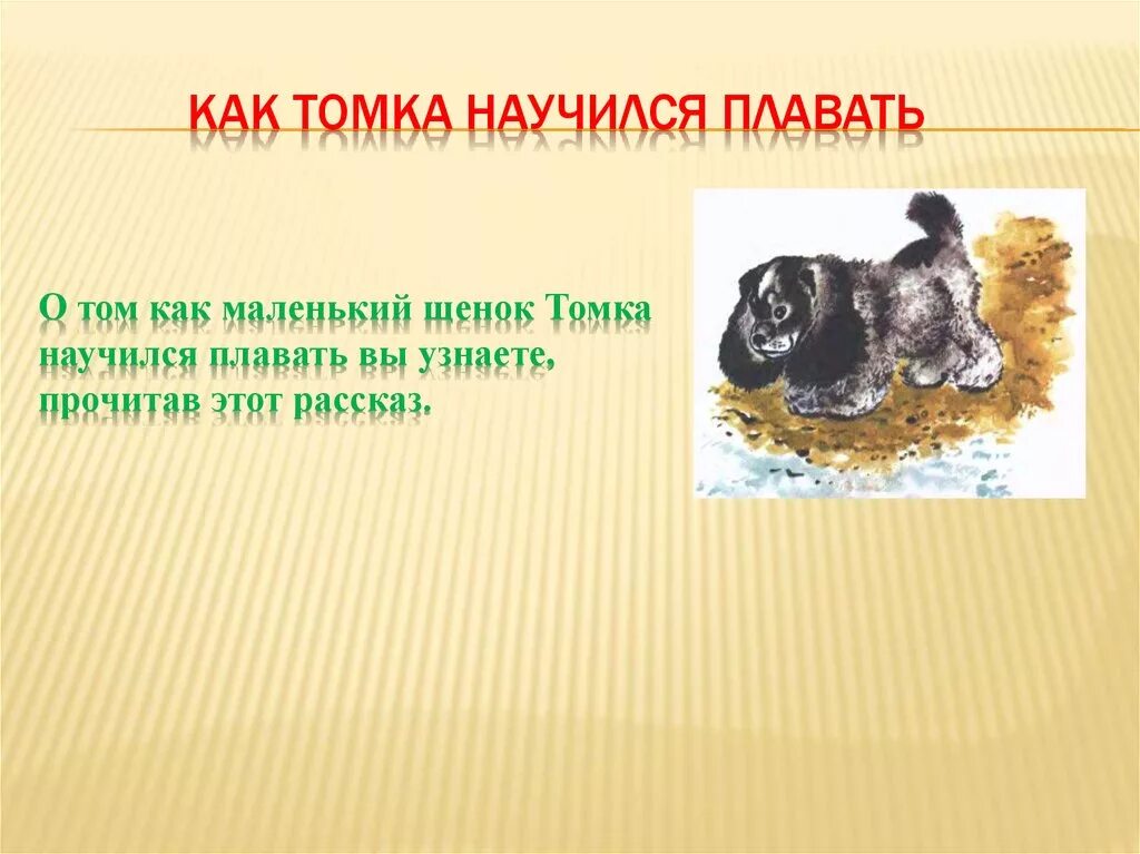 Как томка научился. Е чарушин как томка научился плавать. томка научился плавать. рассказ е чарушина как томка научился плавать. чарушин про томку.