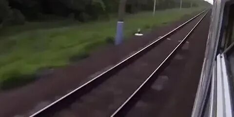 Макс вертиго куда