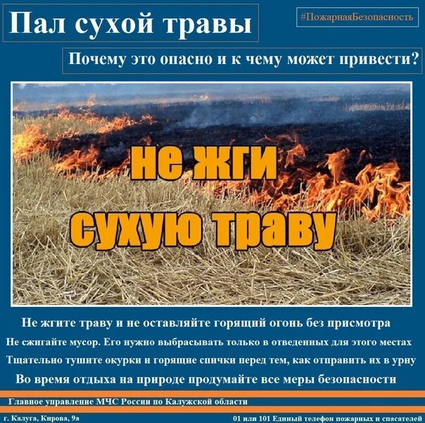 Акции пал пал. Пал сухой травы опасность и ответственность. памяти пал сухой травы. информация недопущения пала сухой трав. пал сухой травы приводит к подаркам.