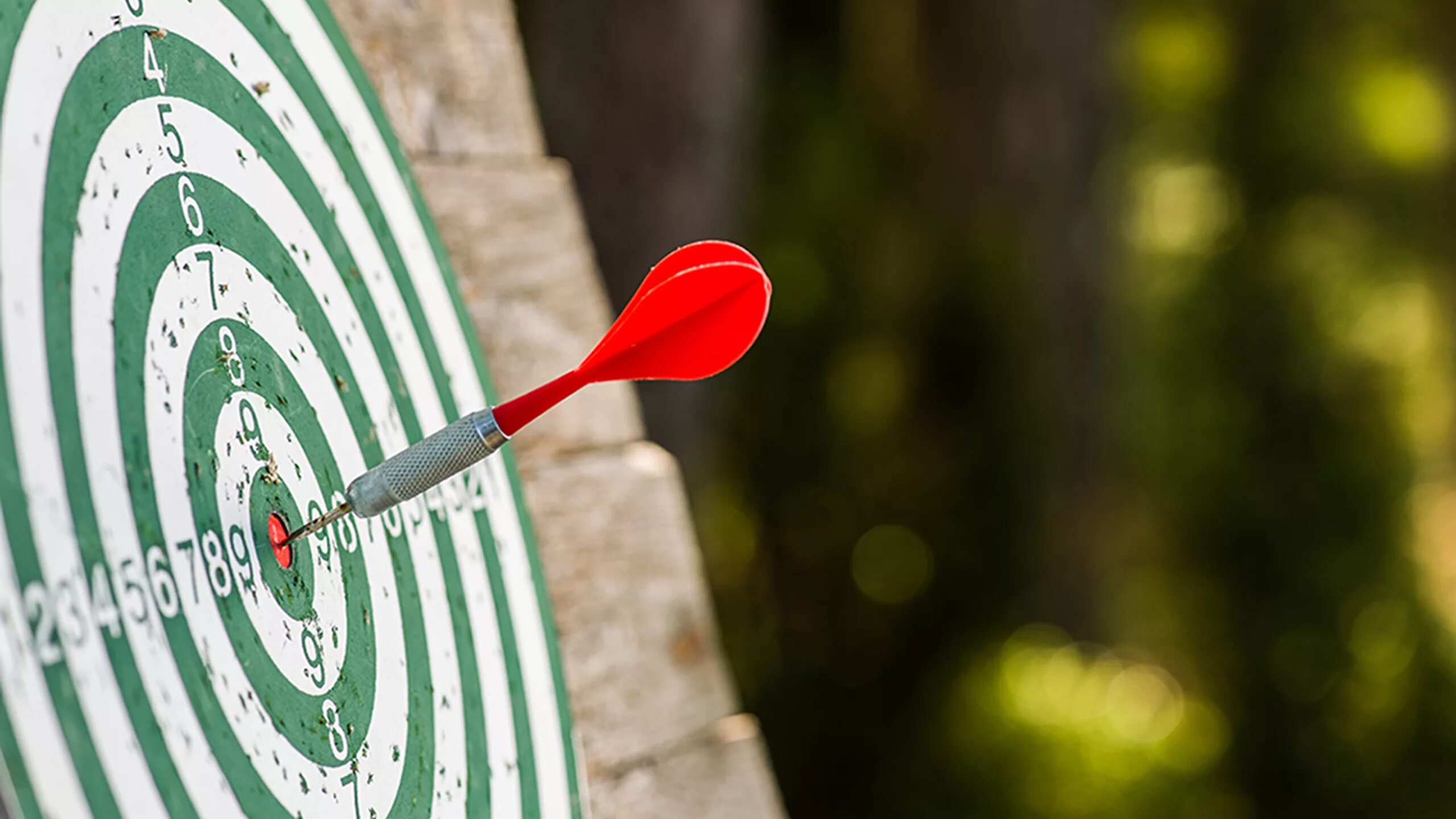 попасть в центр мишени. мишень яблочко. новогодняя мишень. мишень со стрелой. центр мишени.