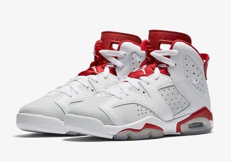 Air jordan 6