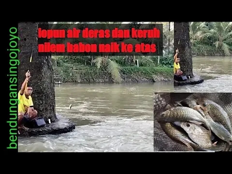 Ловить рыбу в мутной воде значение. Ловить рыбу в мутной воде значение