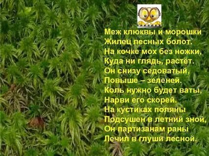Коль нужна