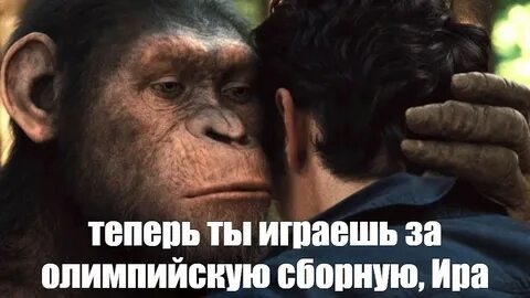 Поны обезьяны