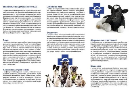 Скот статья