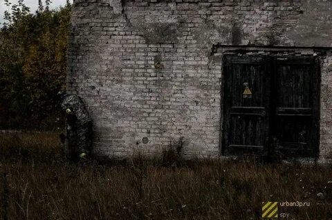 Военвед дзен