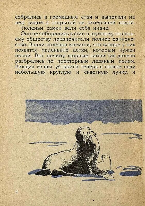 Какую рыбу поймал яшка из рассказа