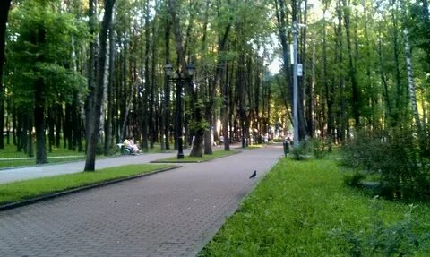 Бабушкинский парк ул менжинского 6 москва