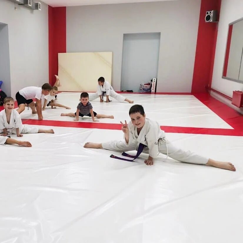 Дом боевых искусств красноярск. Боевые искусства красноярск. Боевые искусства для всех красноярск. Детские секции единоборств покрытия. Боевые искусства красноярск.