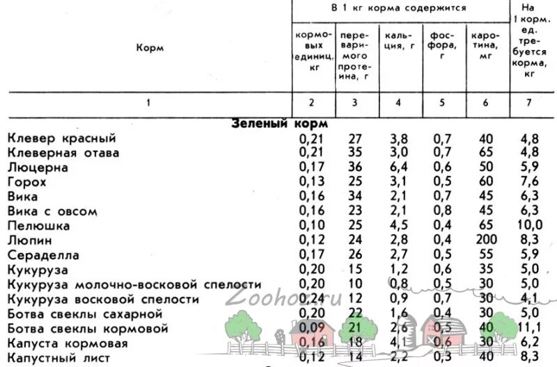 Рацион в кормовых единицах