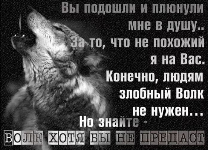 Плюнь мне слова