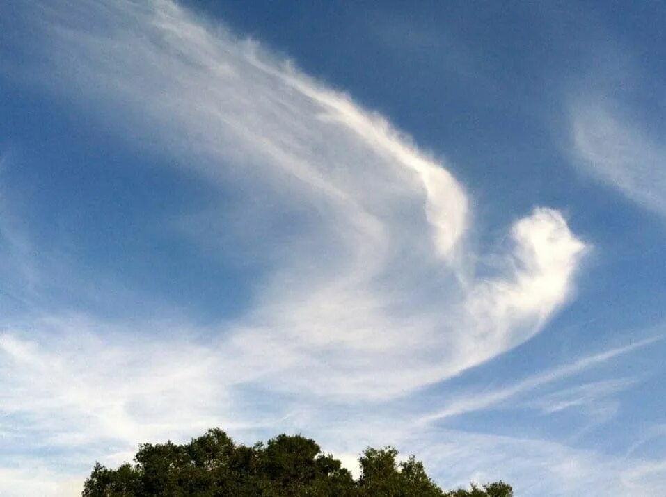 Облака форма. Облака разной формы. Облака похожие на животных. На что похожи облака.