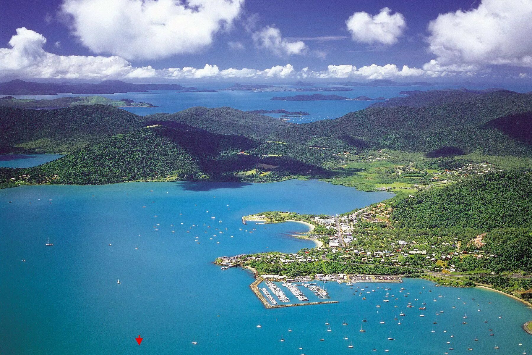 Халлайдейл бич. Erli. Эрли бич. Уитсанди квинсленд. Airlie beach.