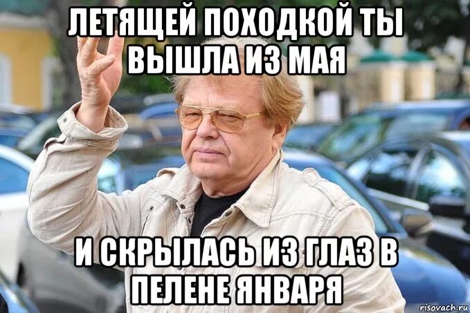 летящей походкой я вышла за водкой мем. кошка уходит. летящей походкой выходим из мая. легкой походкой выходим из мая. картинки летящей походкой я вышла за водкой.