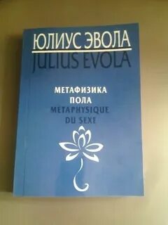 Эвола метафизика