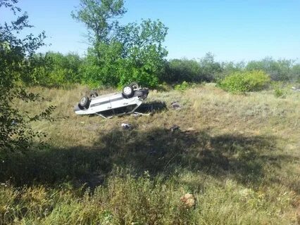 Погода в камышинском районе