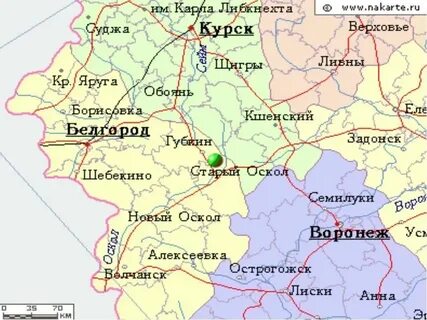 Где находится белгород и курск на карте
