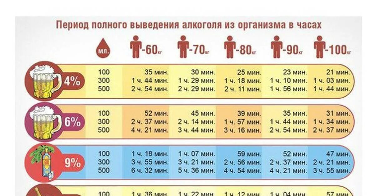 Сколько времени выводится пиво