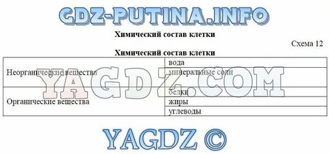 Химический состав клетки 5 класс биология таблица