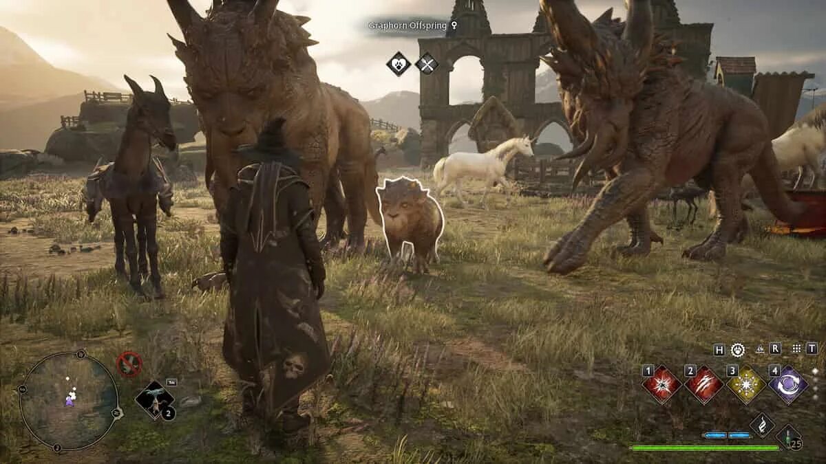 Твари в хогвартс легаси. Хогвартс легаси животные. Хогвартс легаси животные. Hogwarts legacy животные. Hogwarts legacy черный гиппогриф.