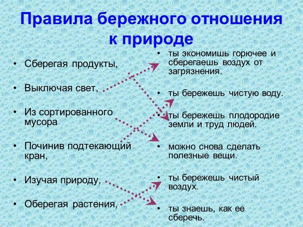 Бережная связь. Бережное отношение к природе. Правила бережного отношения к природе. Правило бережного отношения к природе. Примеры бережного отношения.