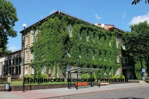 Гимназии гродно