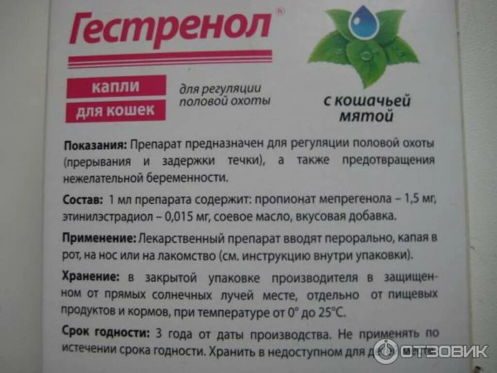 Применения капель. Гестренол капли таблетки для кошек. Гестренол капли с мятой для кошек. Гестренол срок годности. Таблетки для абортирования кошек.