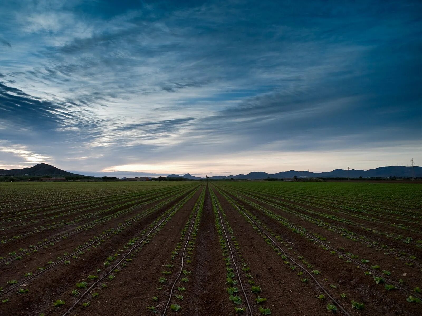 Пашня. Много пашен. Монтана сельское хозяйство. Вспаханная земля сверху. Пахотные земли россии.