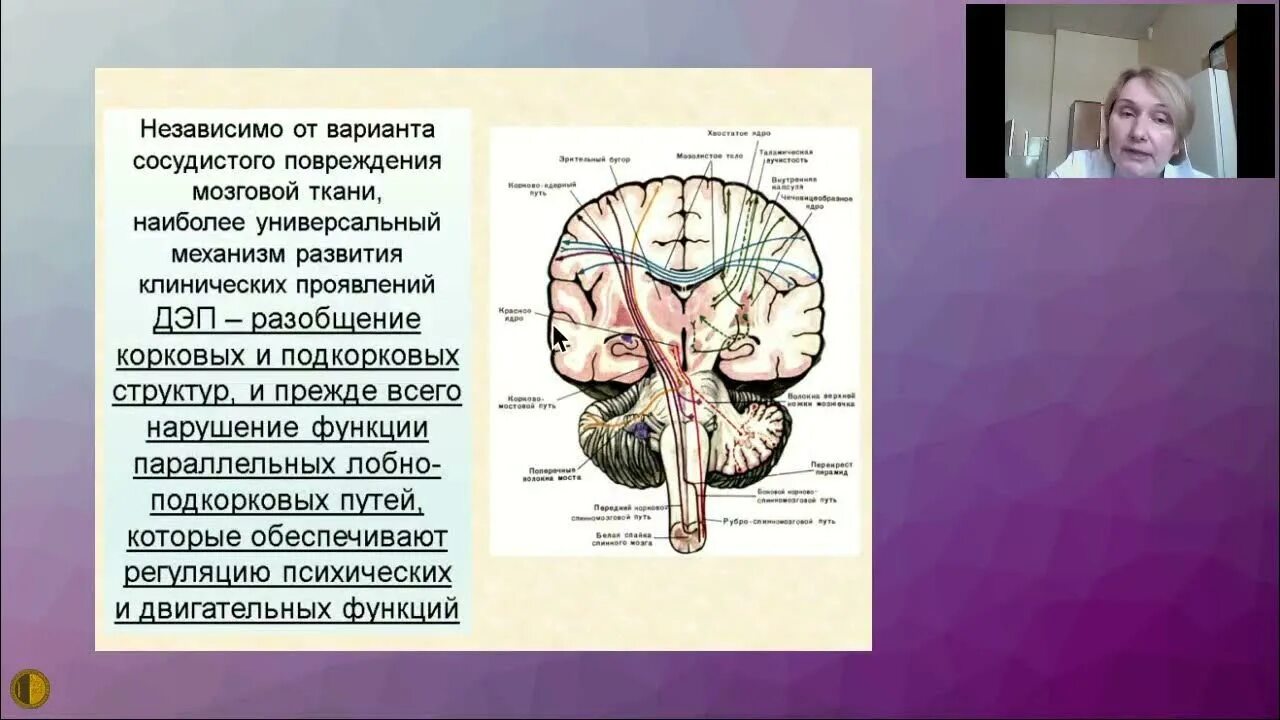 Ишемическая болезнь головного мозга. Строение мозга. Головная боль при хронической ишемии мозга. Ишемия мозга 2 ст