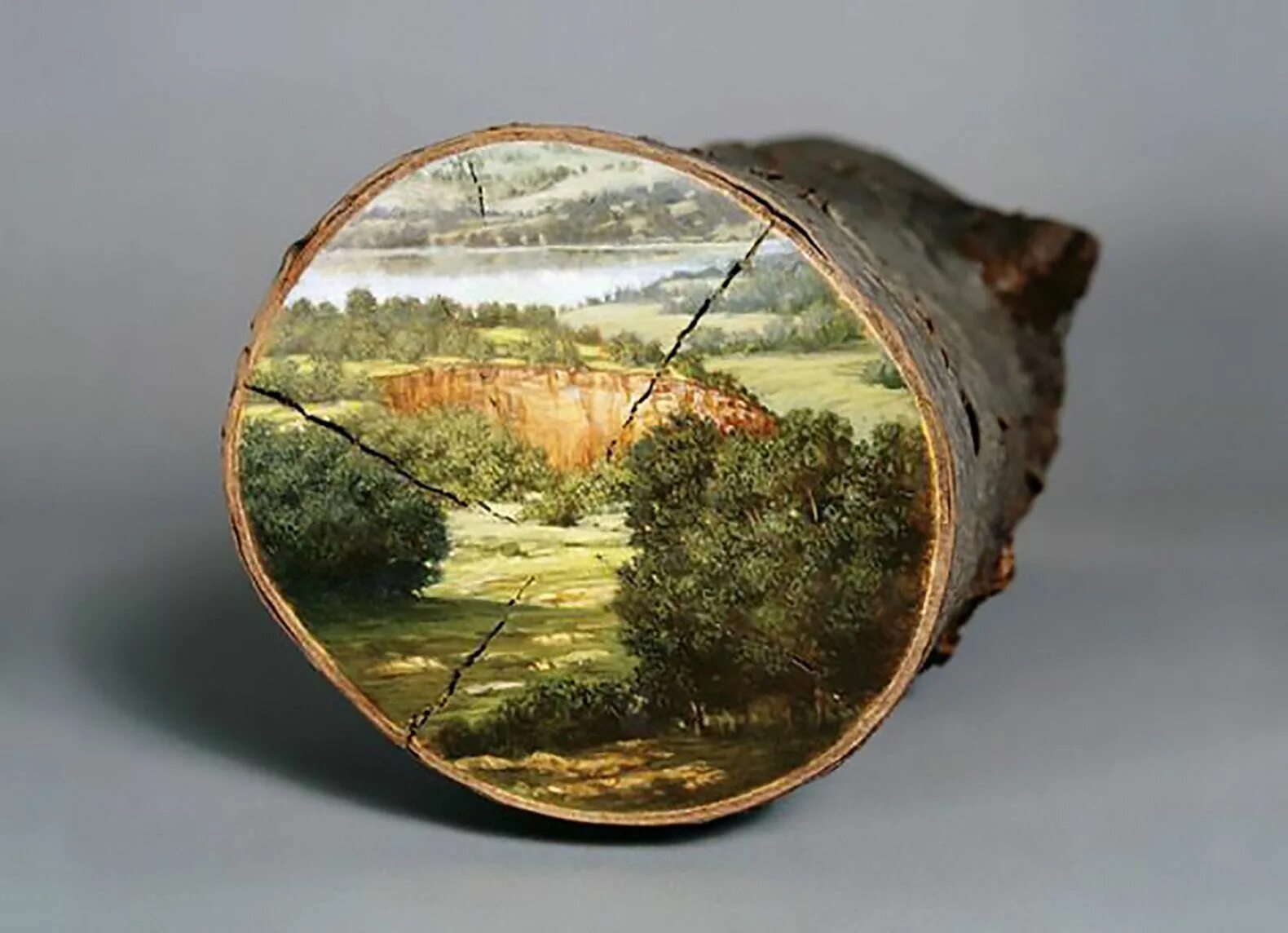 Срезы картины. Элисон Морицугу художник. Живопись на срезе дерева. Живопись на спиле дерева. Пейзаж на спиле дерева.