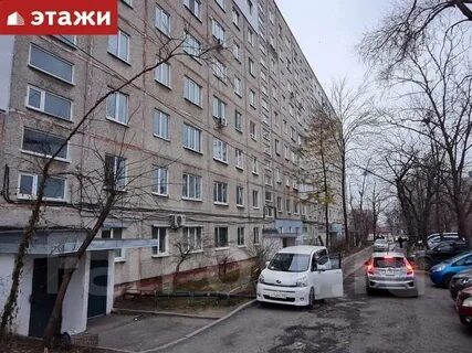 Кожный гамарника
