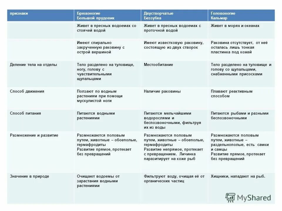 Таблица сравнение брюхоногих двустворчатых и головоногих. Таблица сравнения брюхоногие двустворчатые и головоногие моллюски. Таблица брюхоногие двустворчатые. Класс брюхоногие двустворчатые головоногие таблица. Брюхоногие двустворчатые головоногие таблица