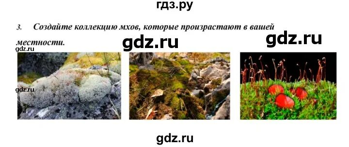 Картинки БИОЛОГИЯ 5 КЛАСС ТЕСТ 1