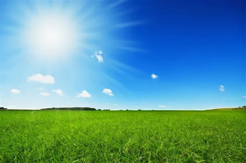 Sun light 1. Sun light 1