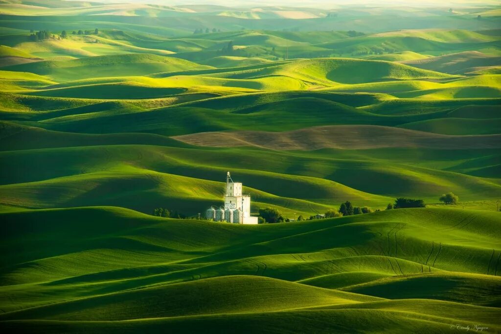 З холма. Холмы Palouse, США. Холмы Палуз штат Вашингтон Америка. Зелёные холмы Палуз. Красивые холмы.