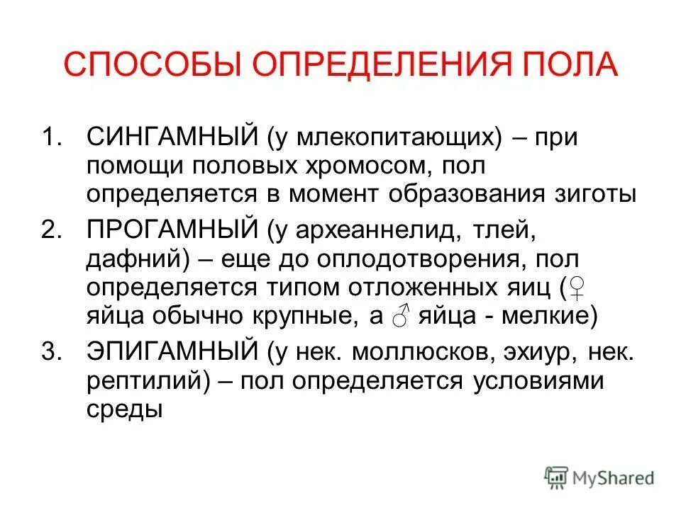 Когда происходит генетическое определение пола у человека